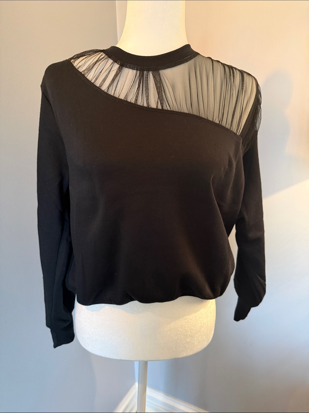 Maeve Black Long Sleeve Top with Sheer Mesh Yoke